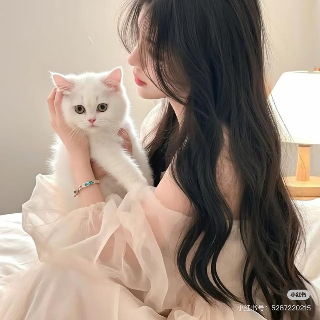 十七同学