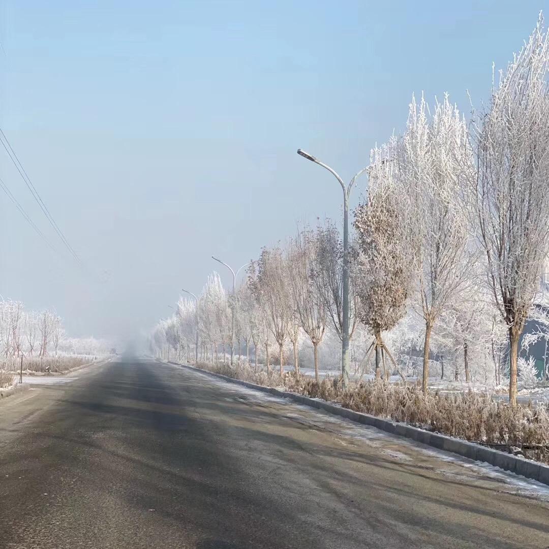 最熟悉的陌生人