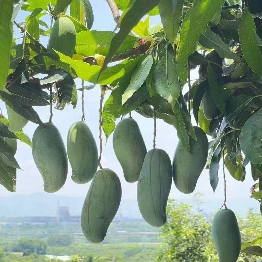 陆人寻味