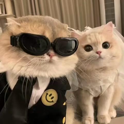 李ㅤ