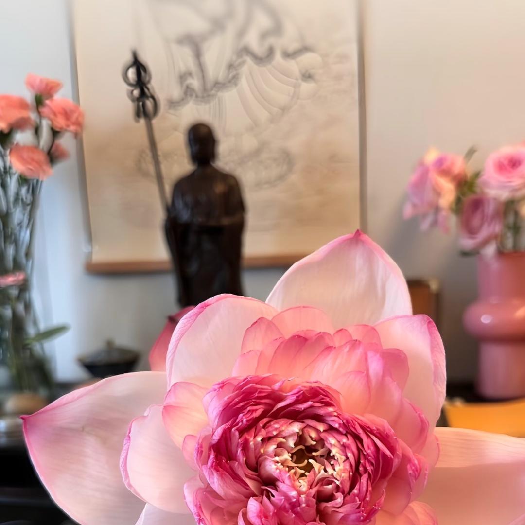 清合