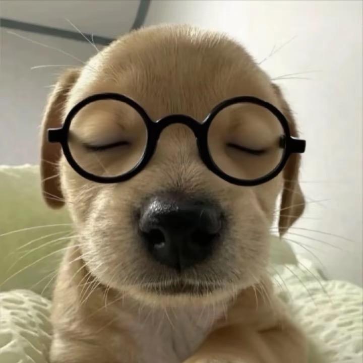 随便>_<