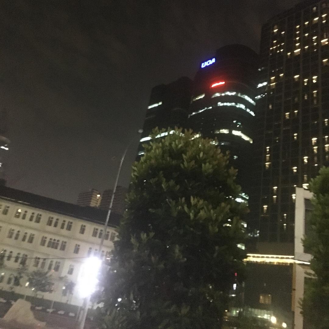 月夜森林