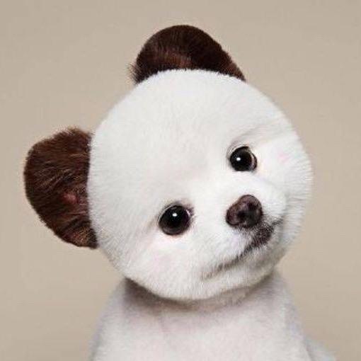 ꧁꫞꯭琿꫞꧂