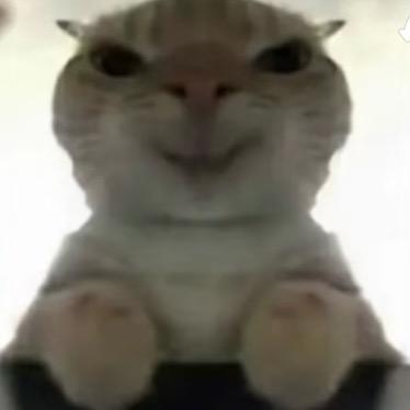和平一哥😃
