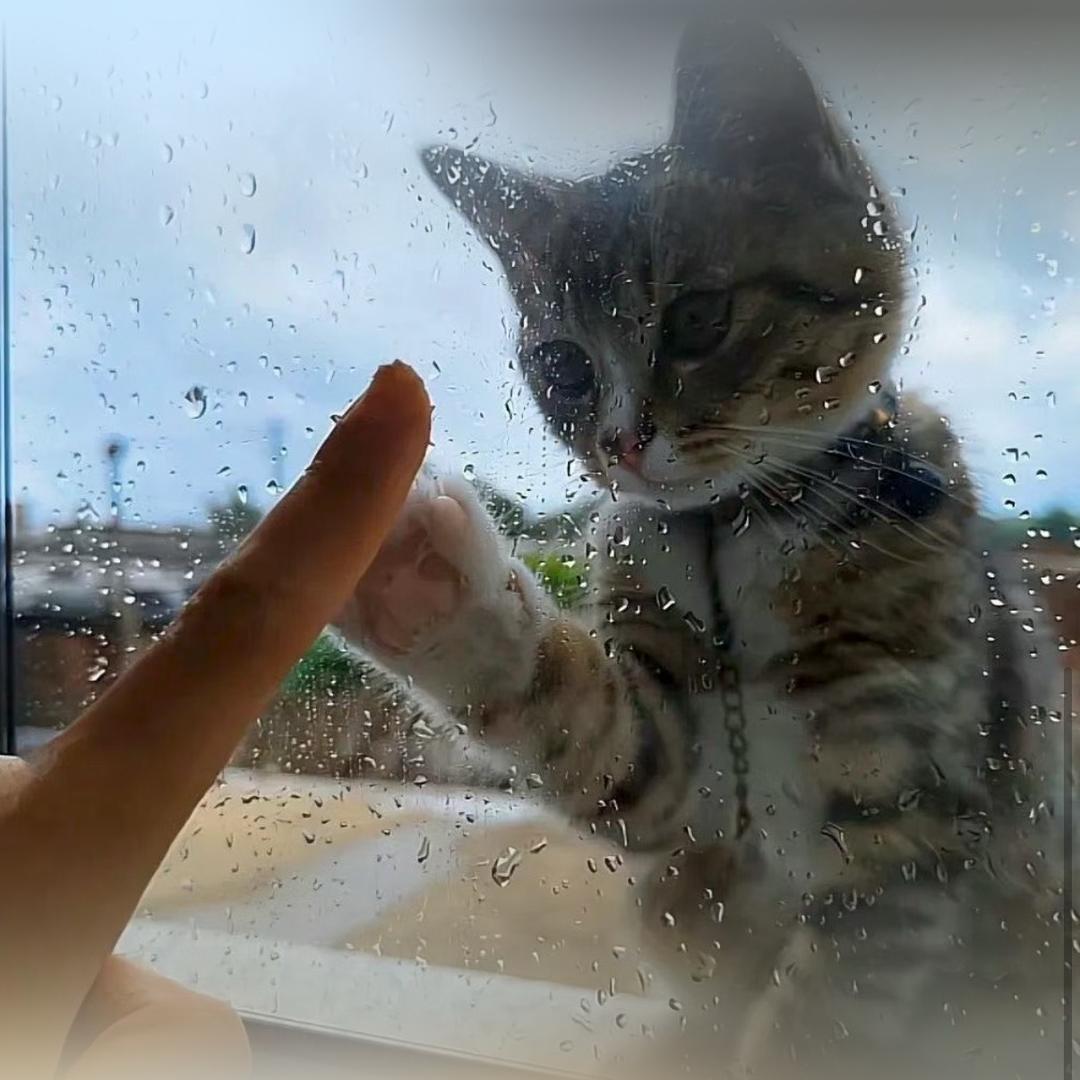 蜡笔不小心