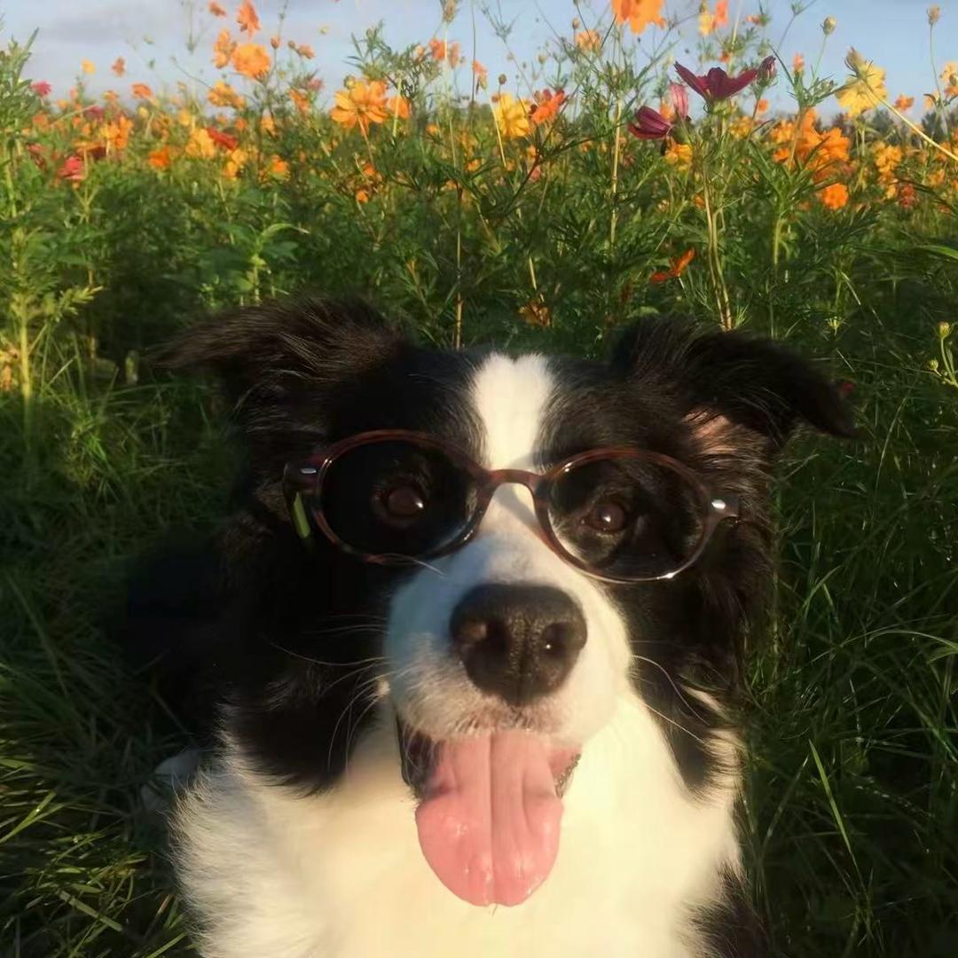 ㅤㅤㅤ  ㅤㅤㅤ