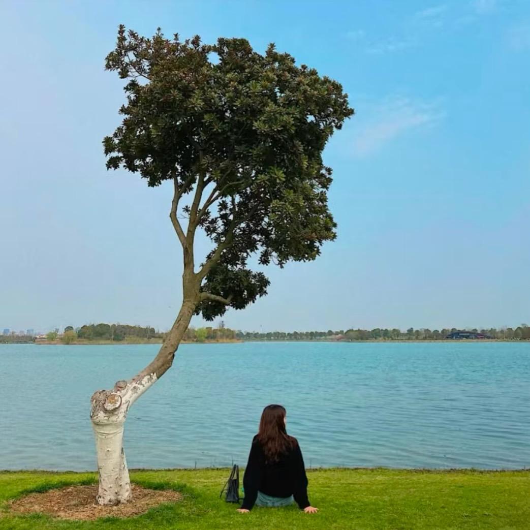 浅浅.