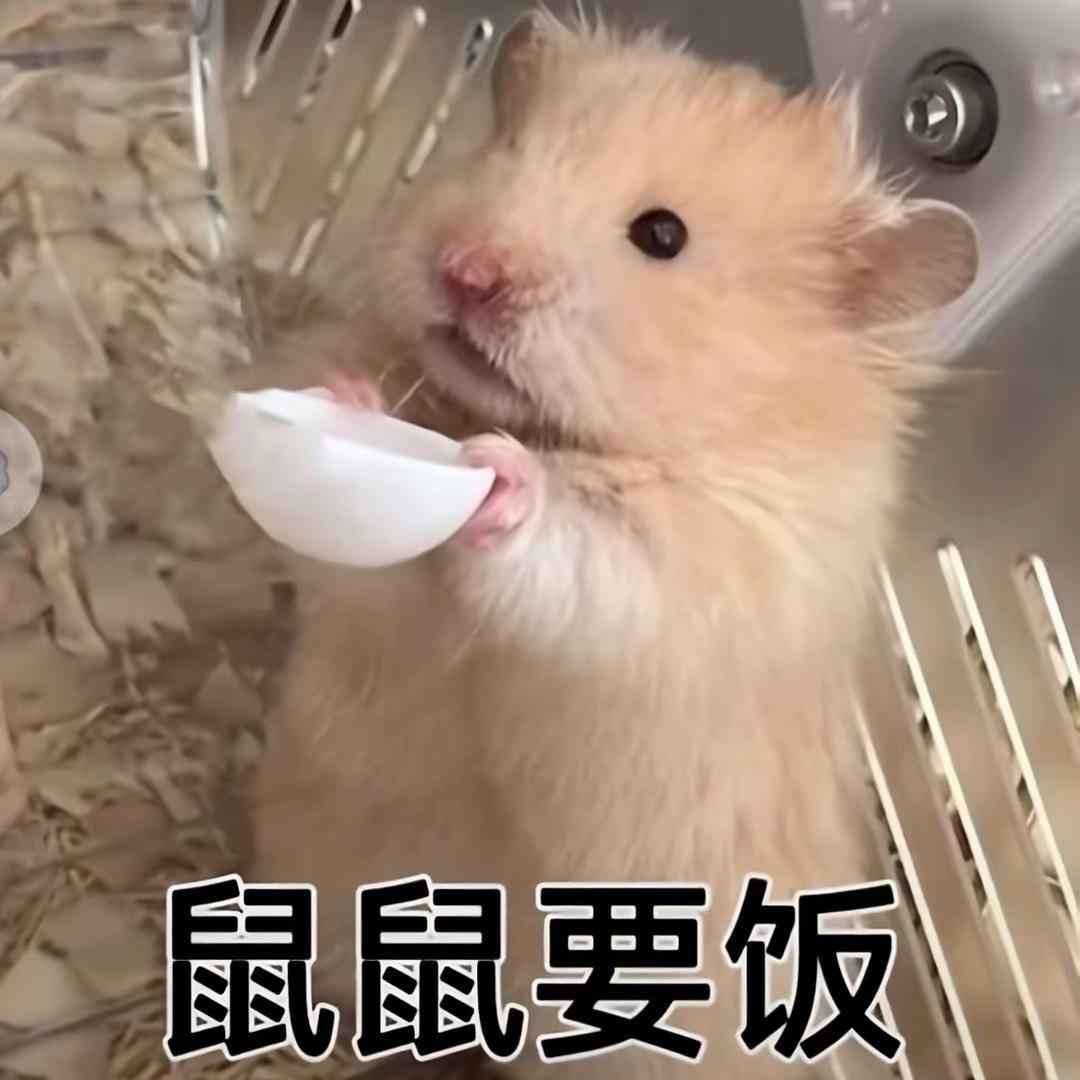 茶茶试吃