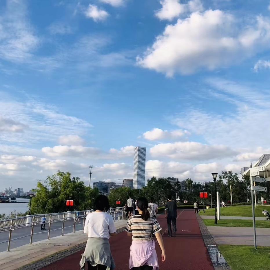 上海金槿