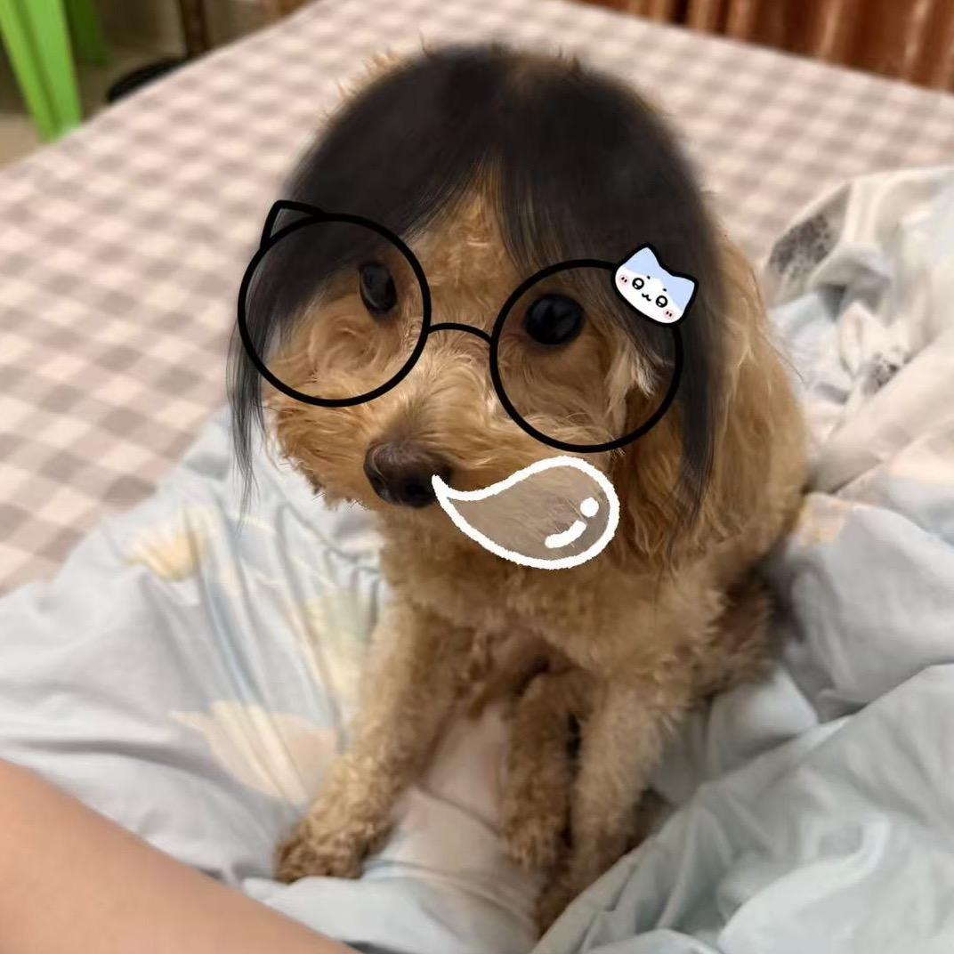 海苔大王请回家