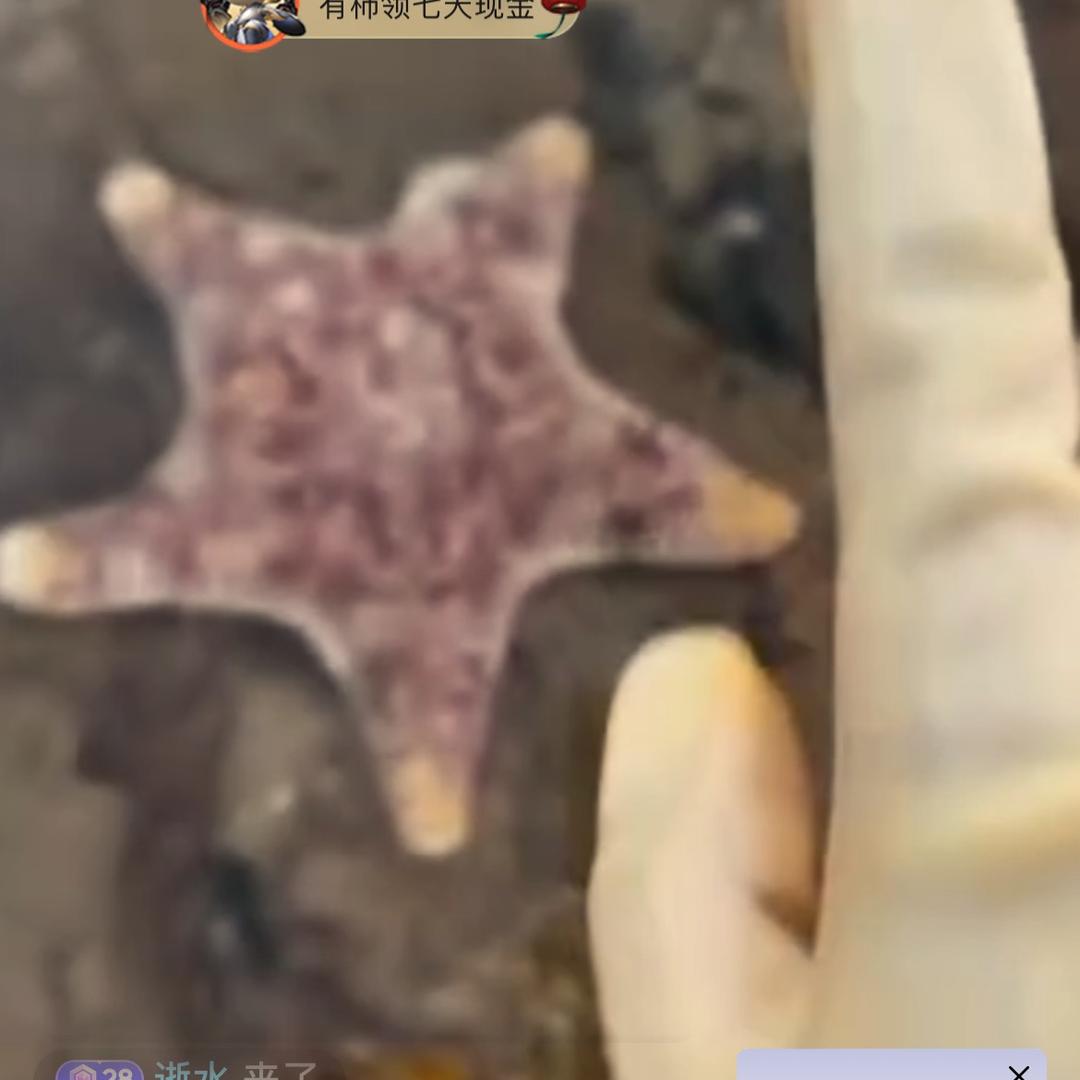 打墙槽美缝保洁