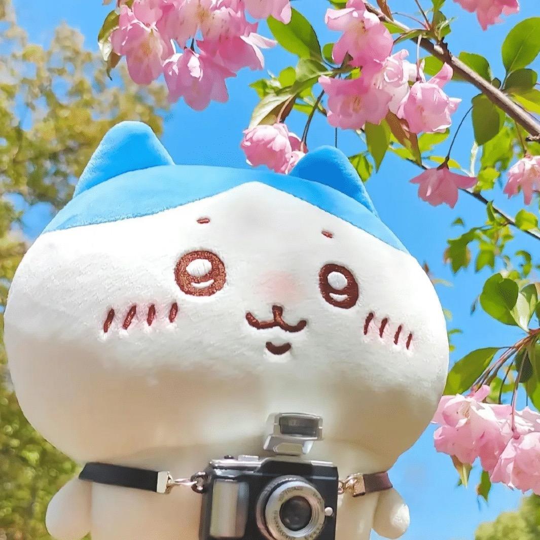挪咳