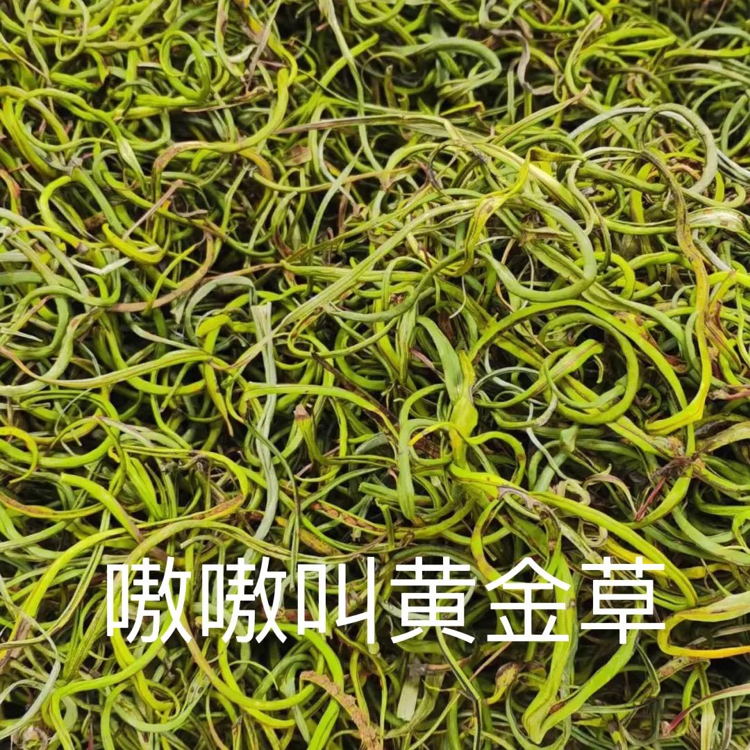 凣尜