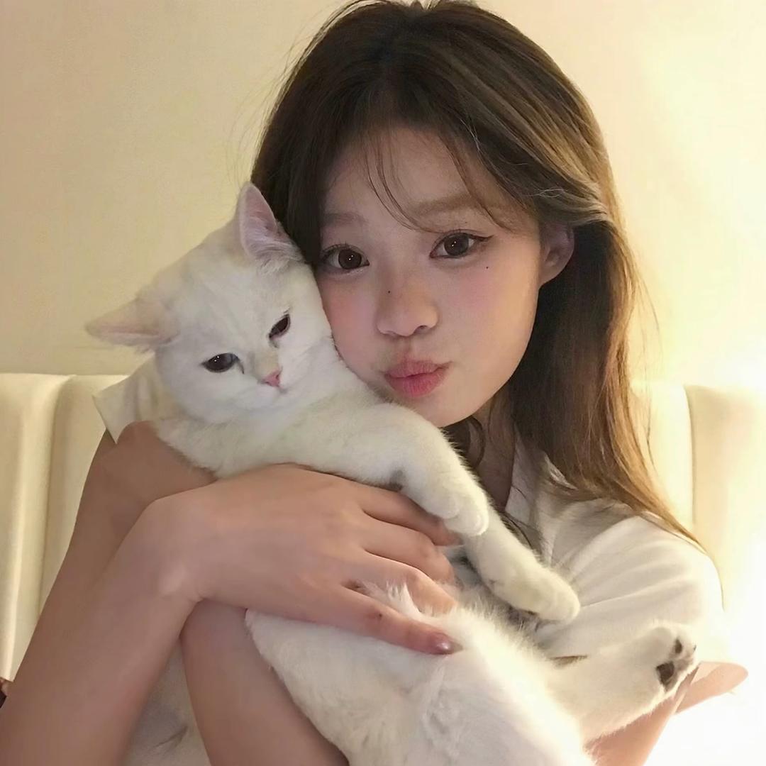 小猫望仔头像