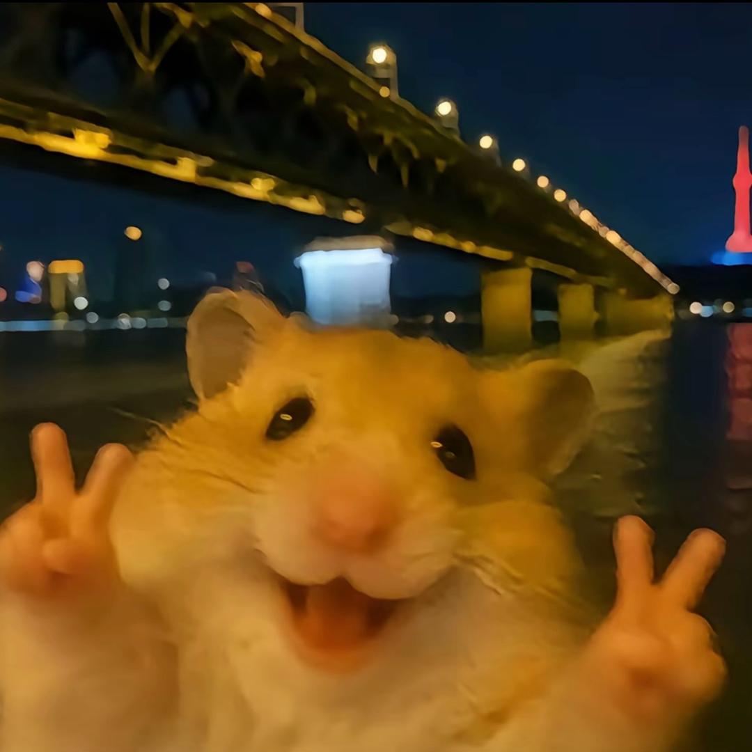 …………..…………