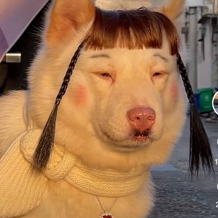 小龙
