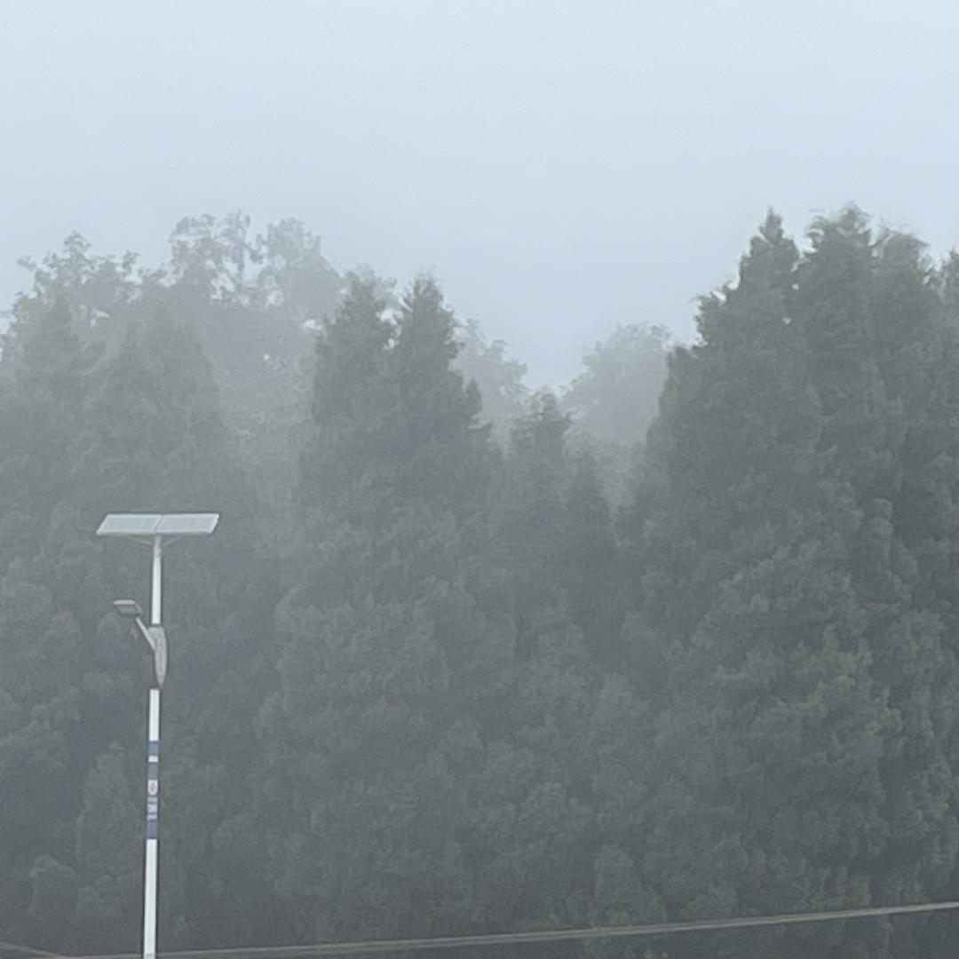 舍得大坡（山货出村）