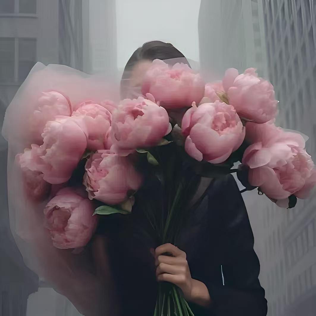 清欢🌱