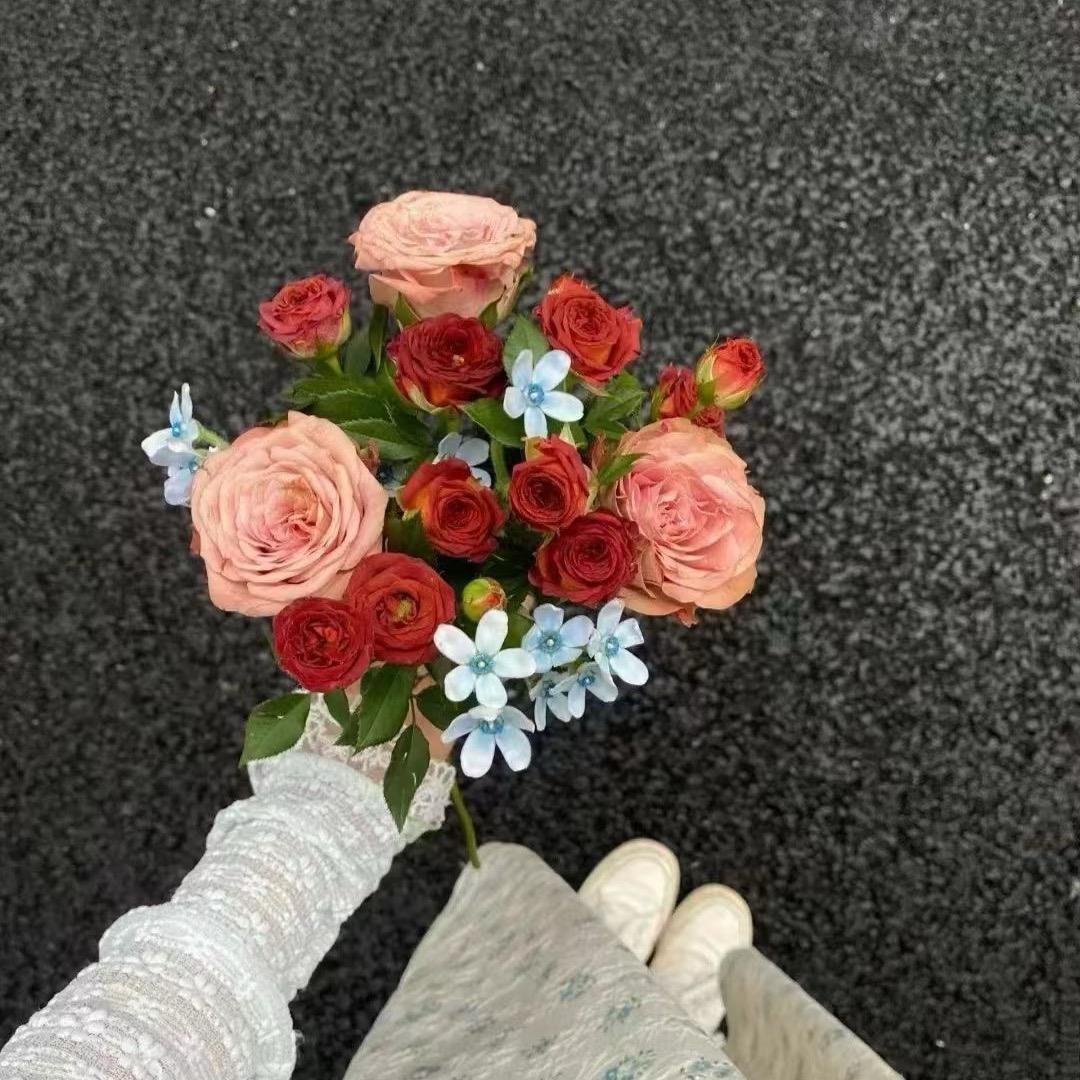 ﮼نادىرە