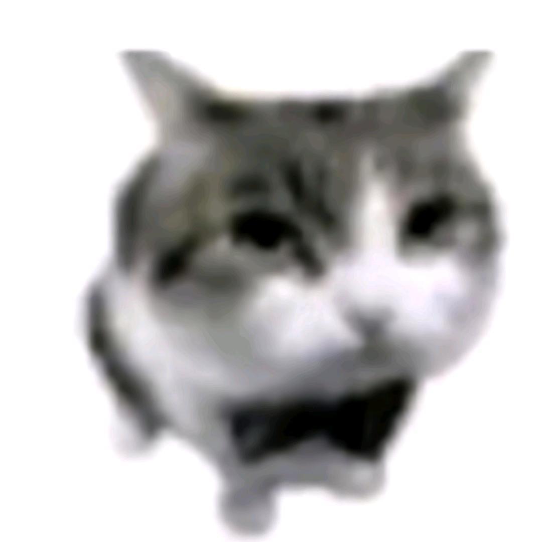 世界kimi
