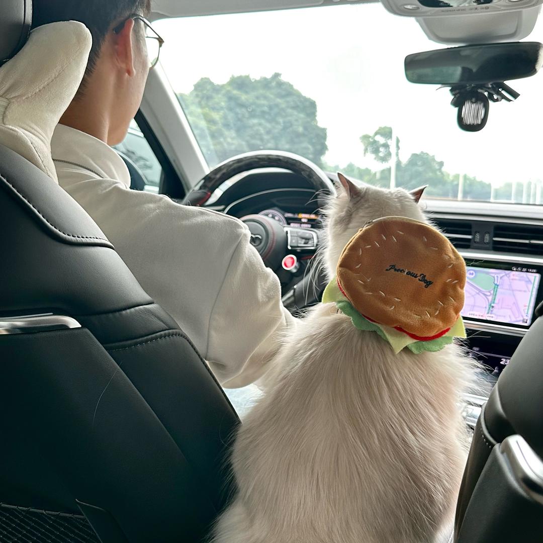 陈主管 Leon（跨境版）