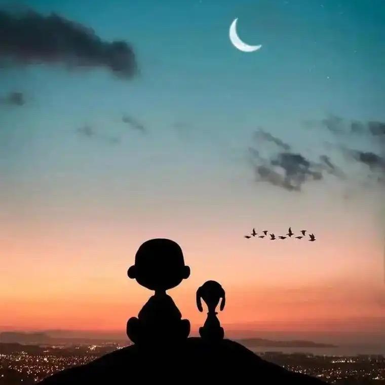 偶尔也会发呆💫