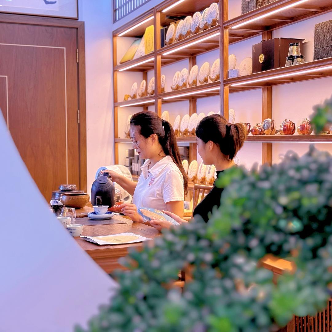 雨桐家的茶