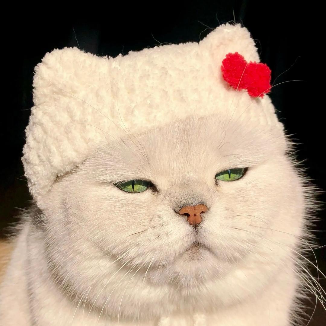 1706