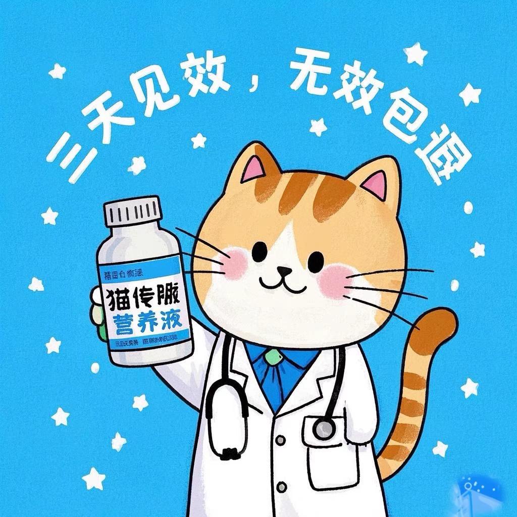 猫咪传腹口炎康复站
