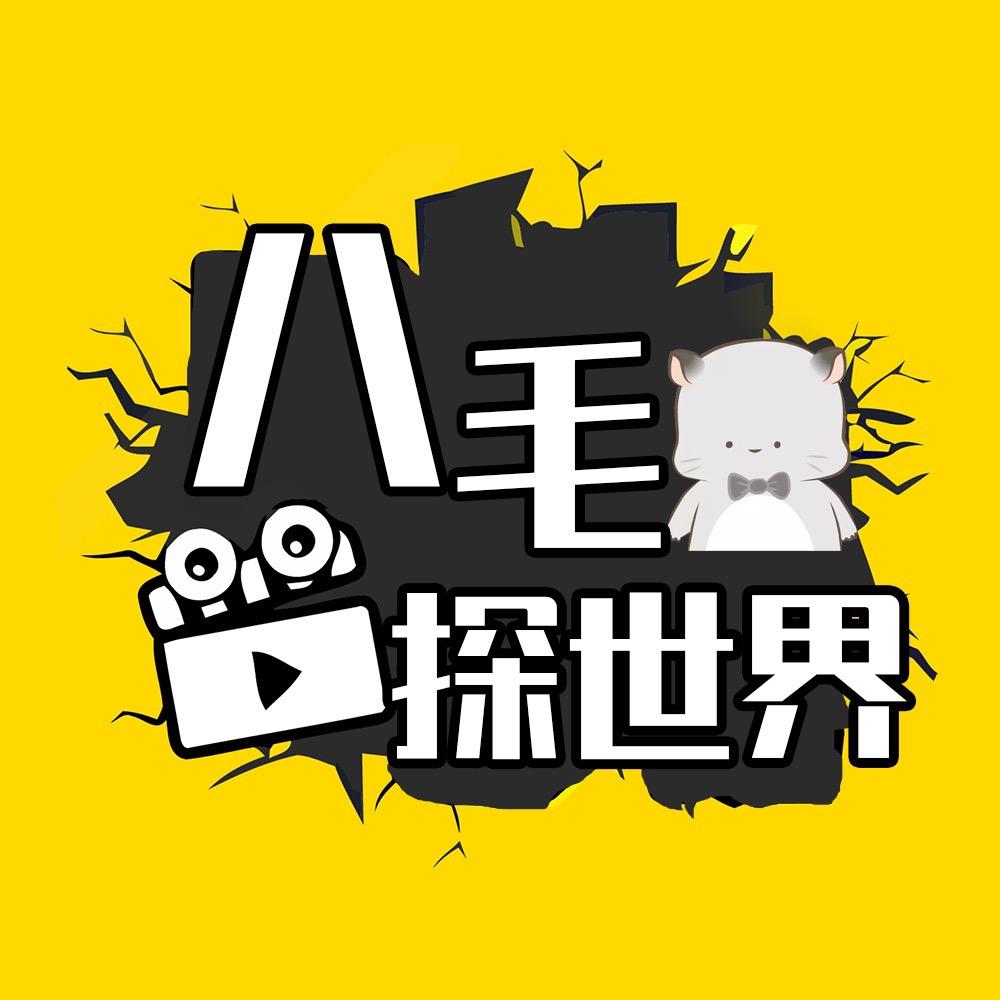 八毛探世界