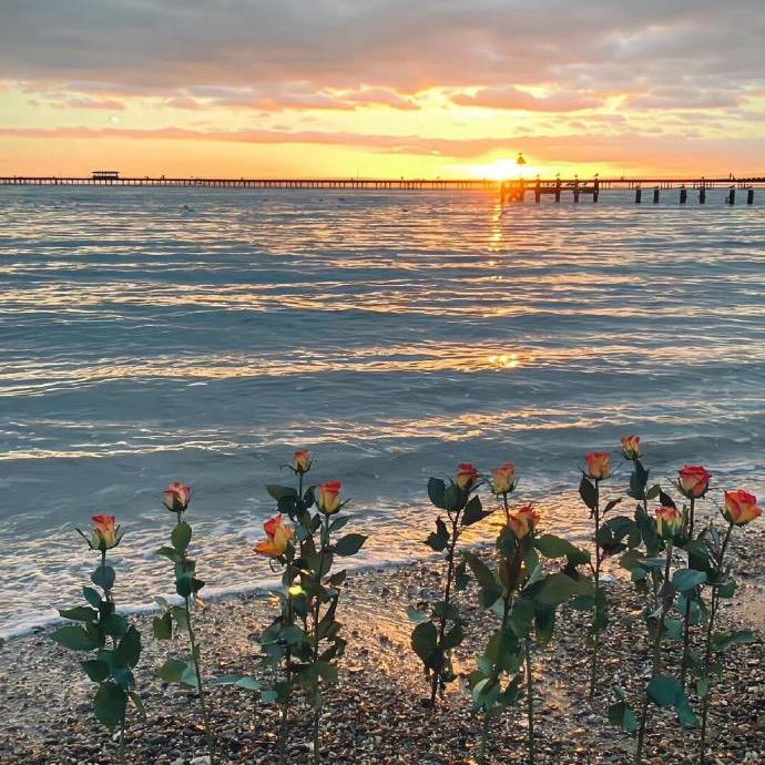 明天的太阳依然升起
