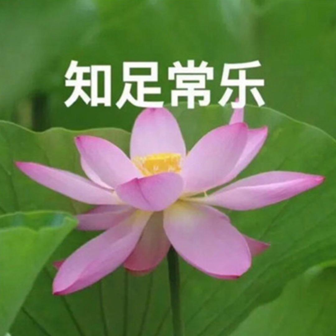 啊～豪