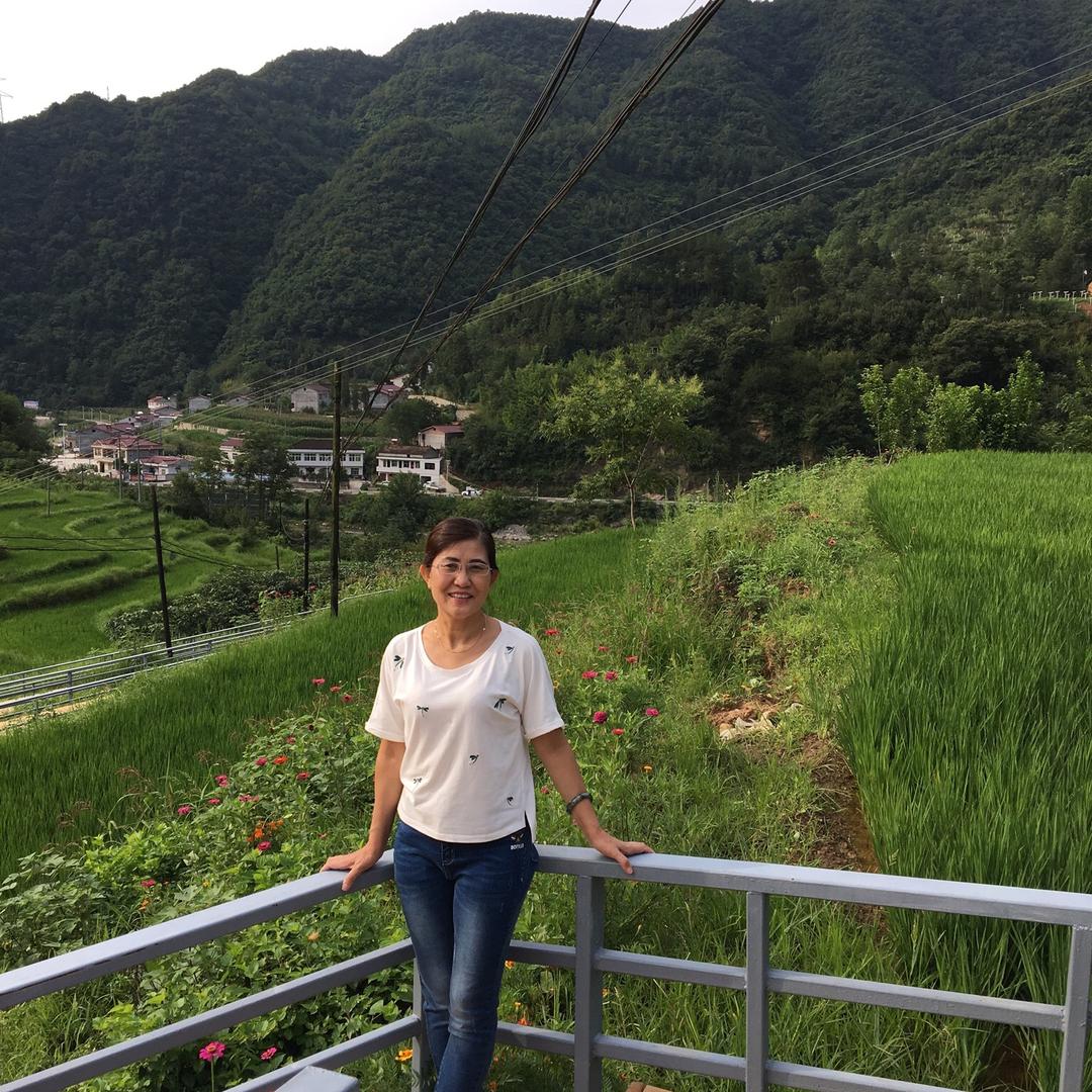 yangying