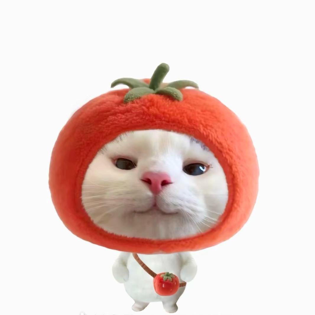 南宫天