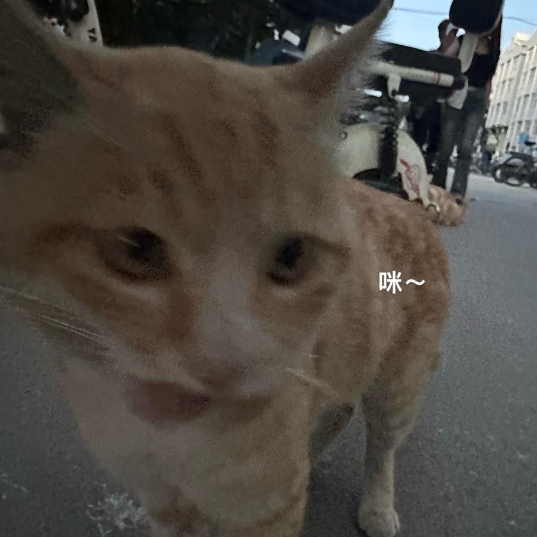 呱呱的小勺