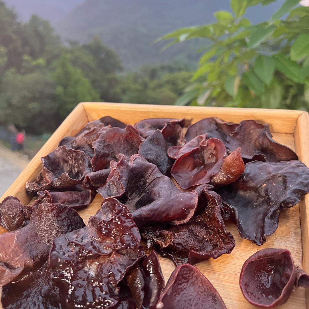 讨厌他莫拉的