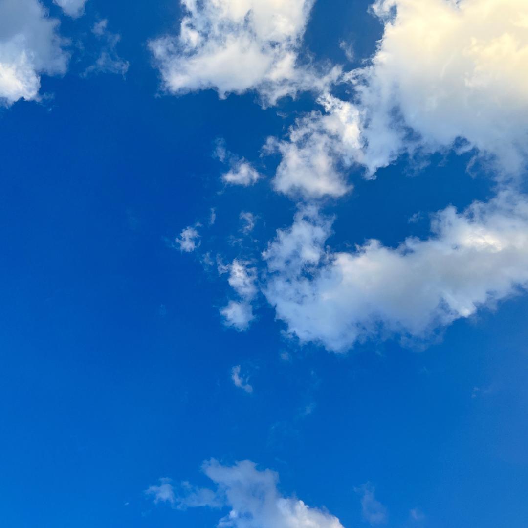 沐枫