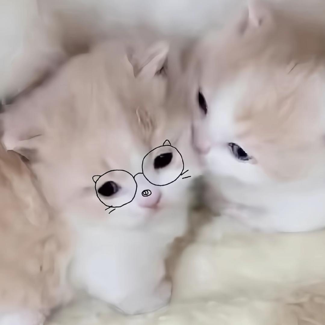 唉，璐璐