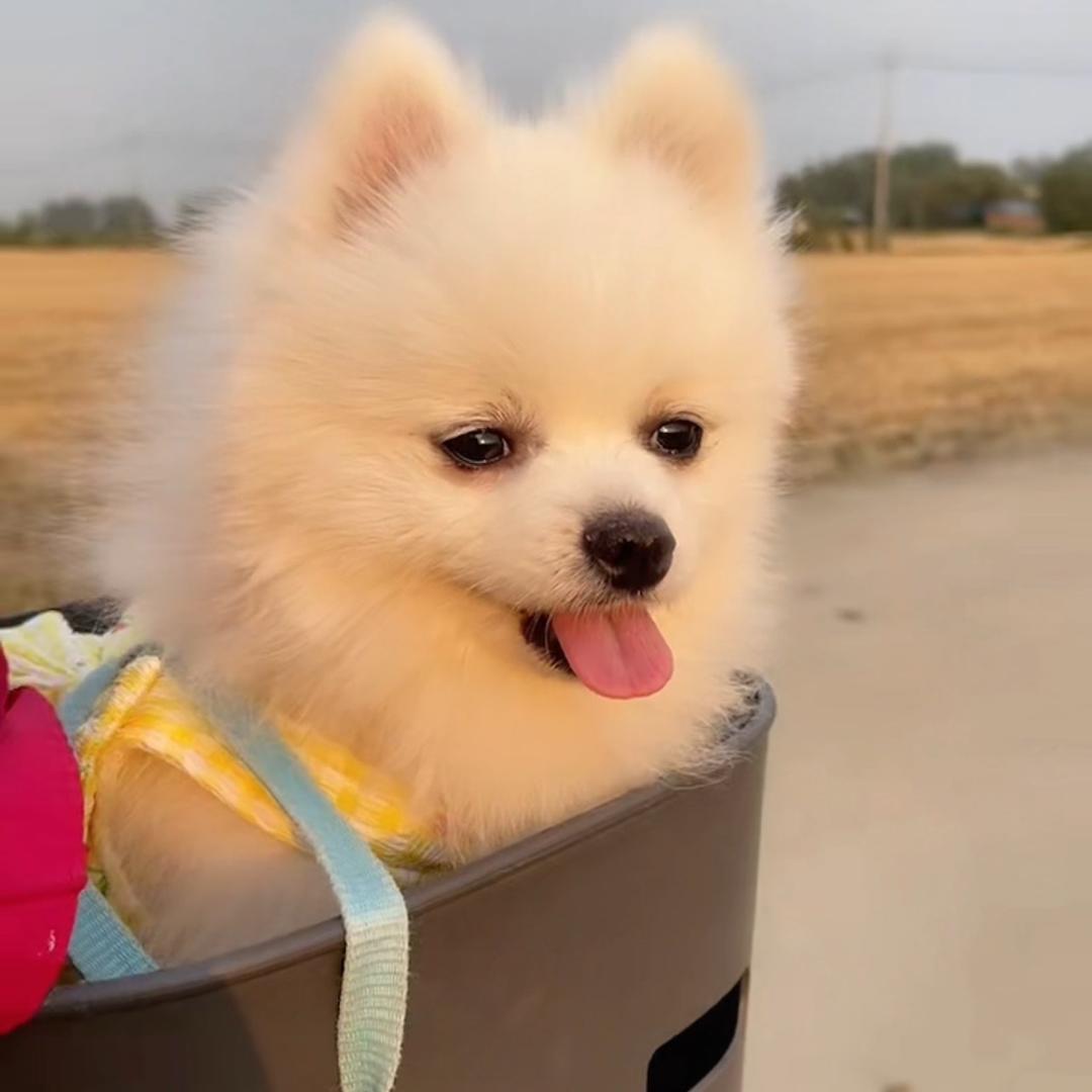 🍊Lₒᵥₑᩚ吴⁺¹⁰⁰