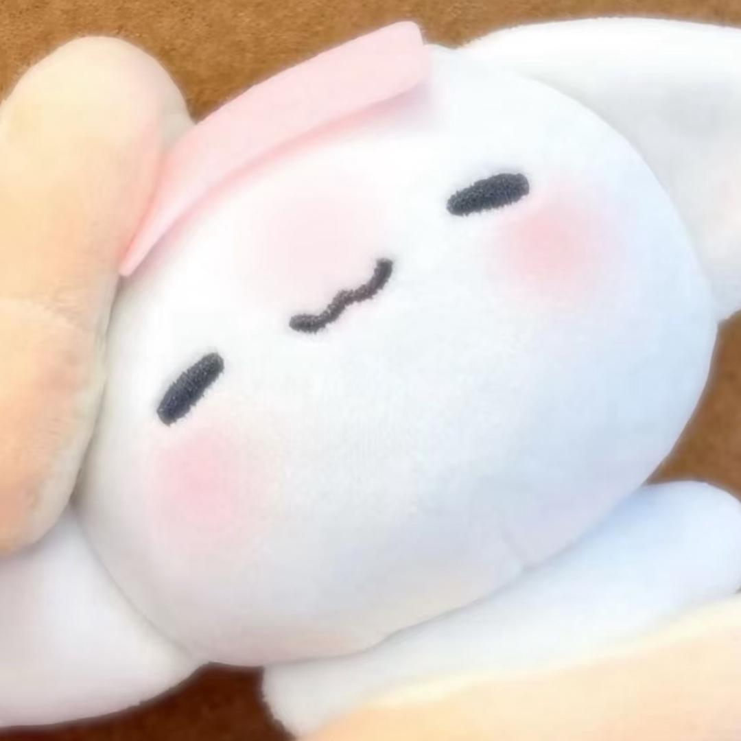 怜城辞