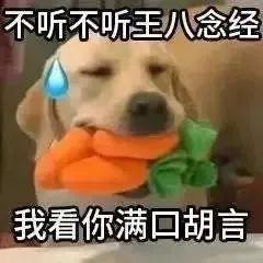 呼啦啦游泳圈