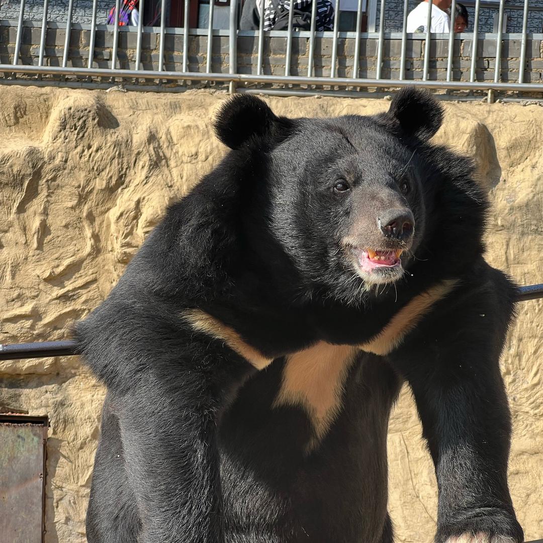 中国地质大学（家长）