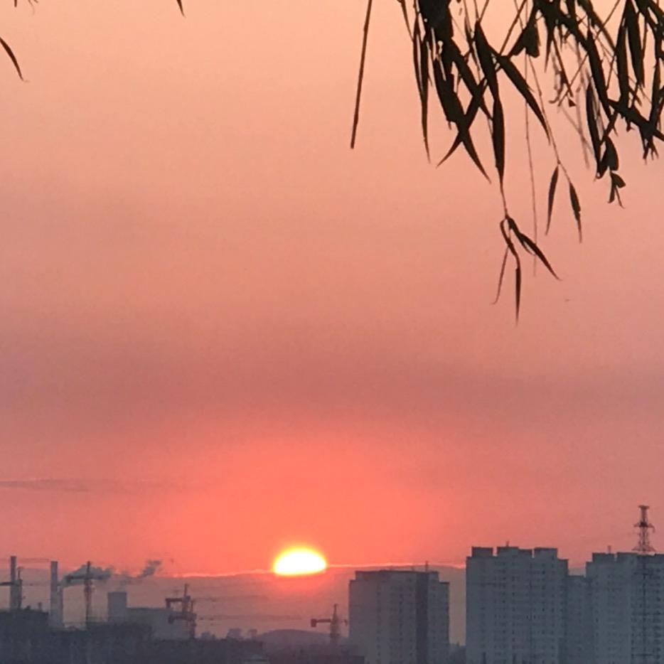 雨伞下的风景