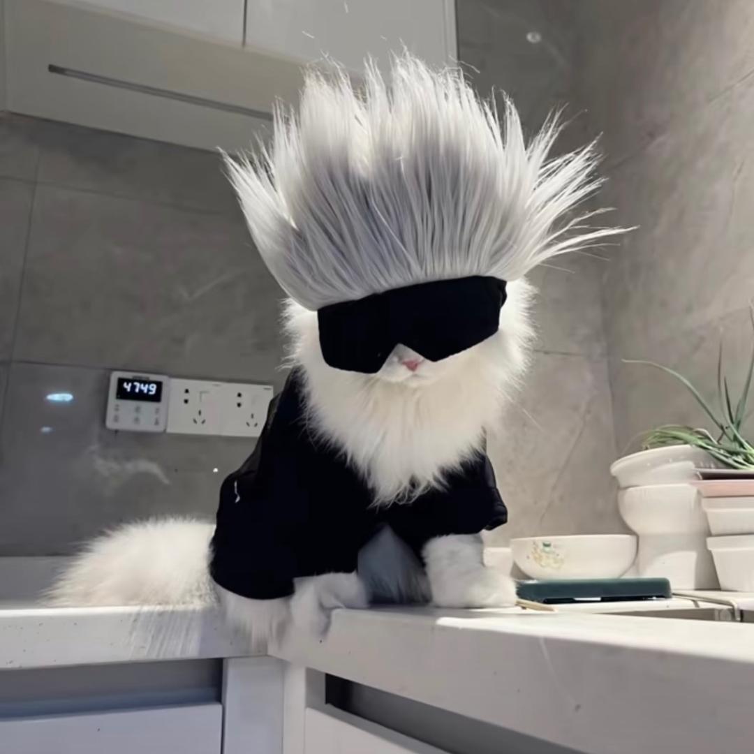 上海租房找小雷