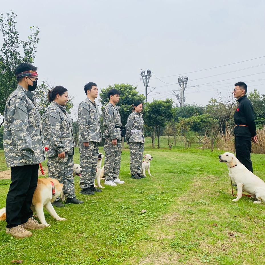 武汉宠它堡宠物训练学校