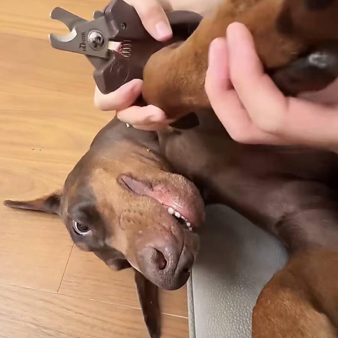 丢了个丢