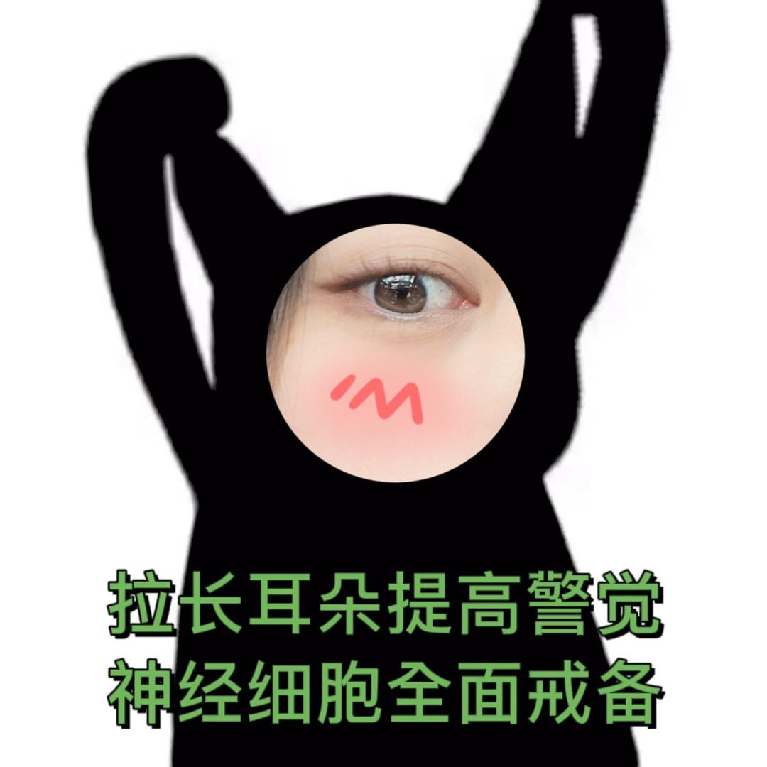 Yie只朱耳朵