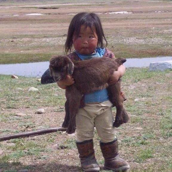 养了小恐龙🦕