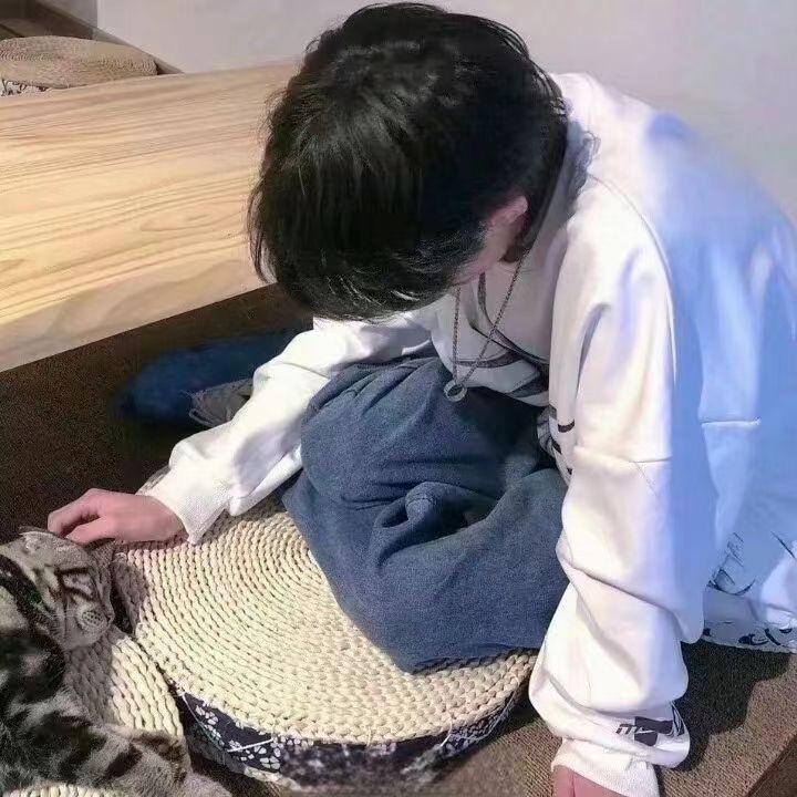 小白猫